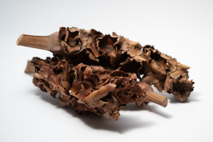 A photo of a pile of Palm Blossom Stalk. They are brown textured stalks on a white background.