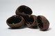 A photo of a pile of Palm Pods. They are brown textured shell hideouts on a white background.