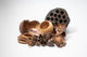 Assorted Botanical Seed Pod Pack (WHOLESALE)