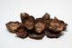 A photo of a pile of Small Coco Flower Caps. They are brown textured caps on a white background.