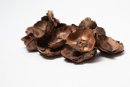 A photo of a pile of Small Coco Flower Caps. They are brown textured caps on a white background.