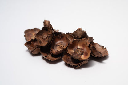 A photo of a pile of Small Coco Flower Caps. They are brown textured caps on a white background.