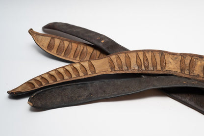 A a close up photo of a pile of Step Fruit. They are brown textured seed pods on a white background.