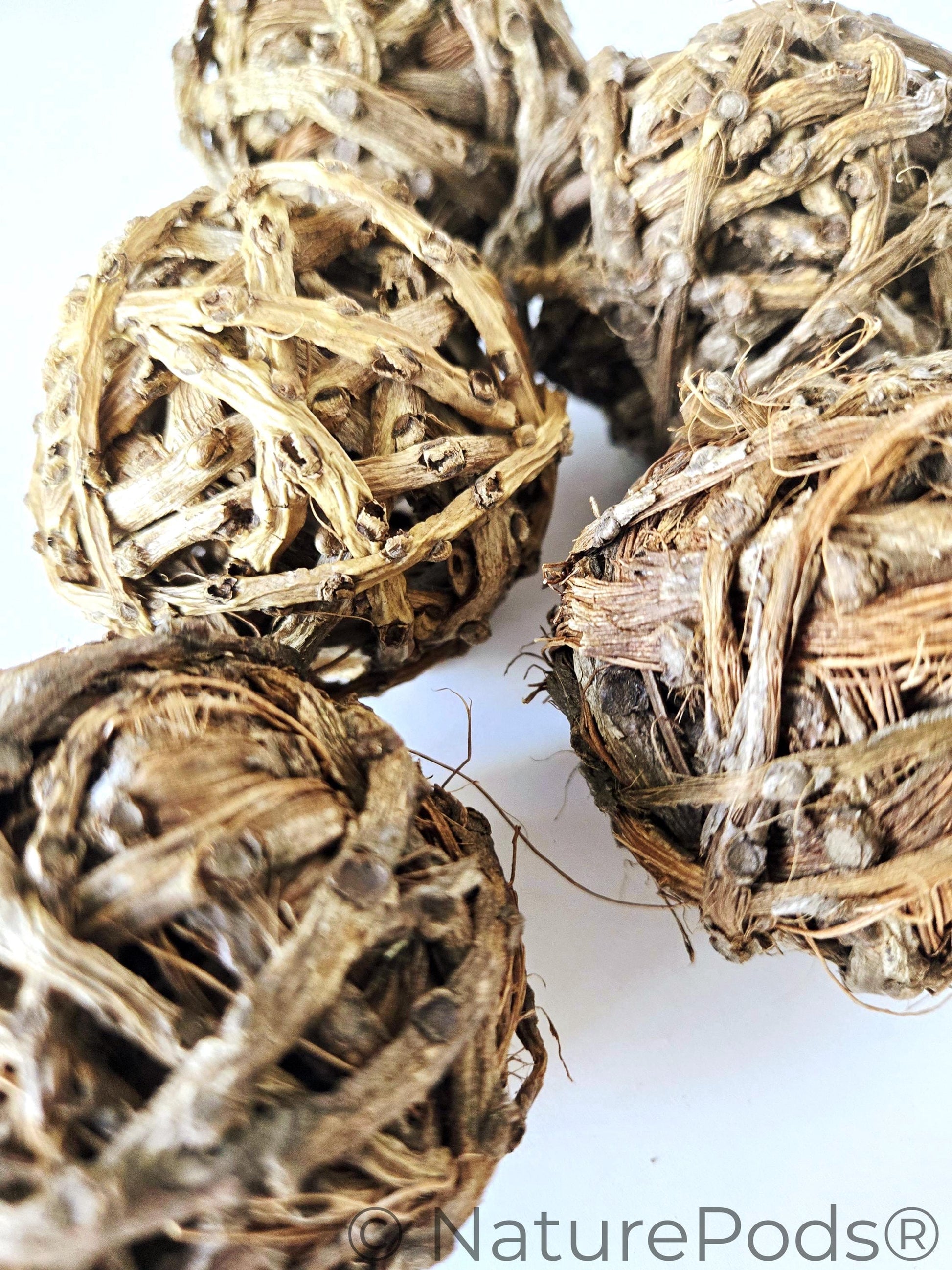 Close up of Five brown vine balls on a white background.  Used for harvesting springtails and as home decor in a bowl.