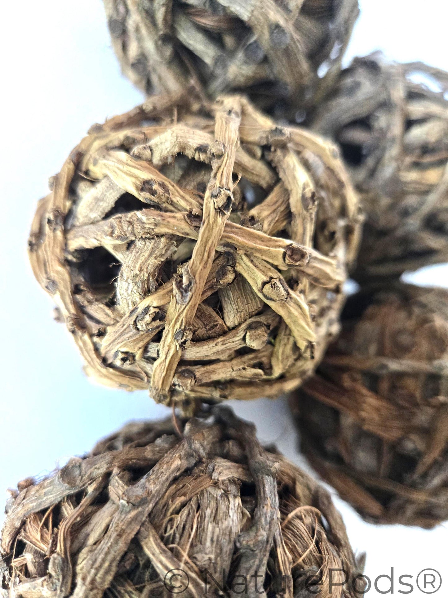 Close up of Five brown vine balls on a white background.  Used for harvesting springtails and as home decor in a bowl.