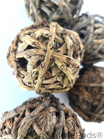Close up of Five brown vine balls on a white background.  Used for harvesting springtails and as home decor in a bowl.