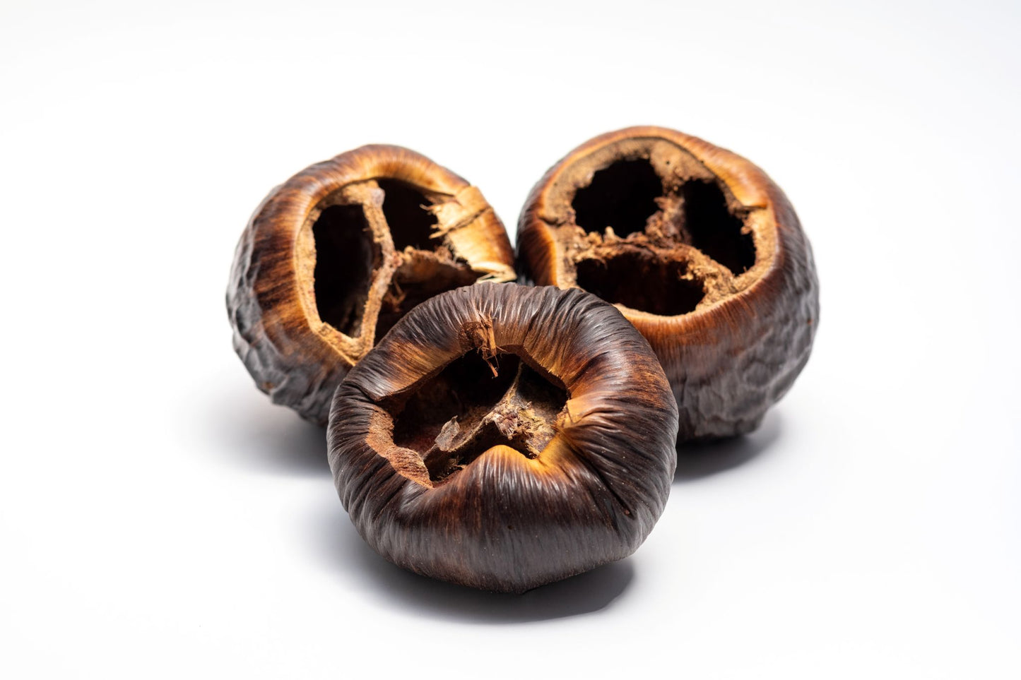 Talami Pod