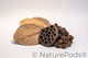 Dried catappa leaves, casuarina cones, and lotus seed pods which are used as aquarium botanicals and betta botanicals shown on a white background