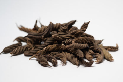 A photo of a pile of Twisty Pods. They are brown textured seed pods on a white background.