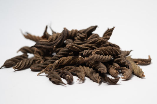 A photo of a pile of Twisty Pods. They are brown textured seed pods on a white background.
