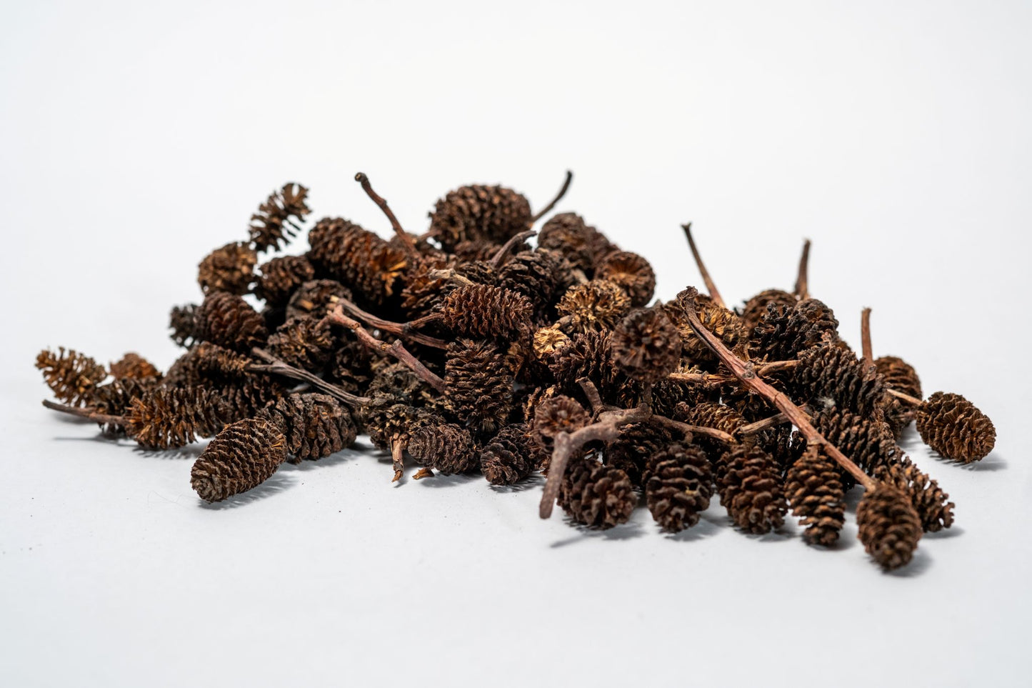 Pile of brown pine cones on a white background that can be used for tannins in aquariums