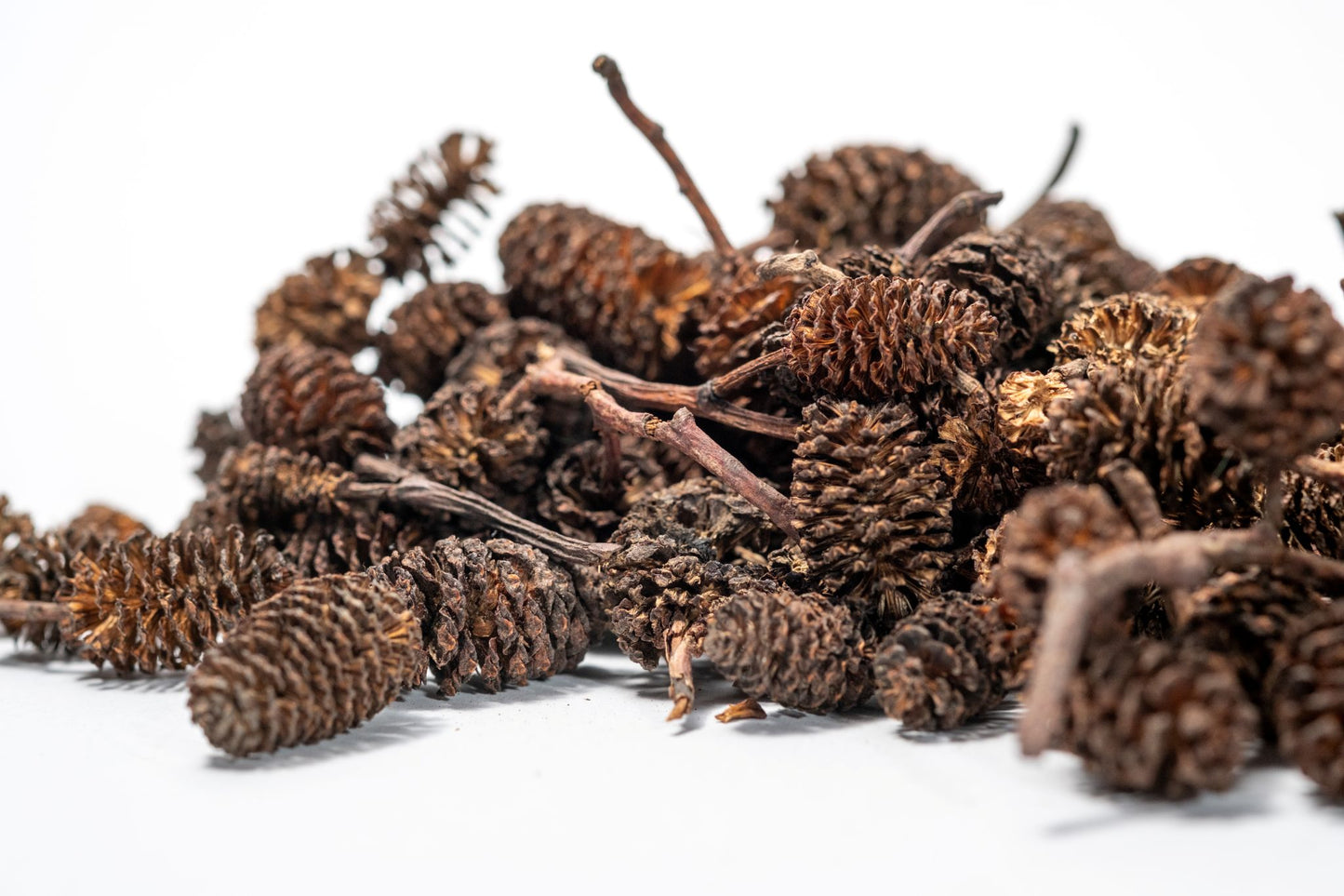 Many small Alder Cones from NaturePods, with a textured surface and layered scales on a short stem, is showcased against a plain white background—ideal for terrariums, shrimp, and crafts.