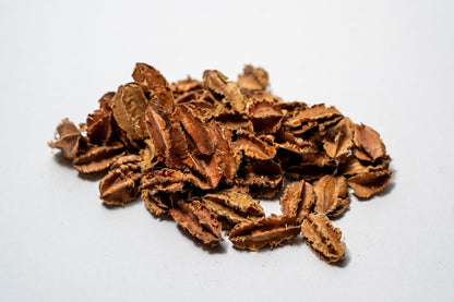 Brown small Arjuna Seed Pods feature jagged edges, perfect for aquarium tannins or bioactive terrariums or bowl filler.