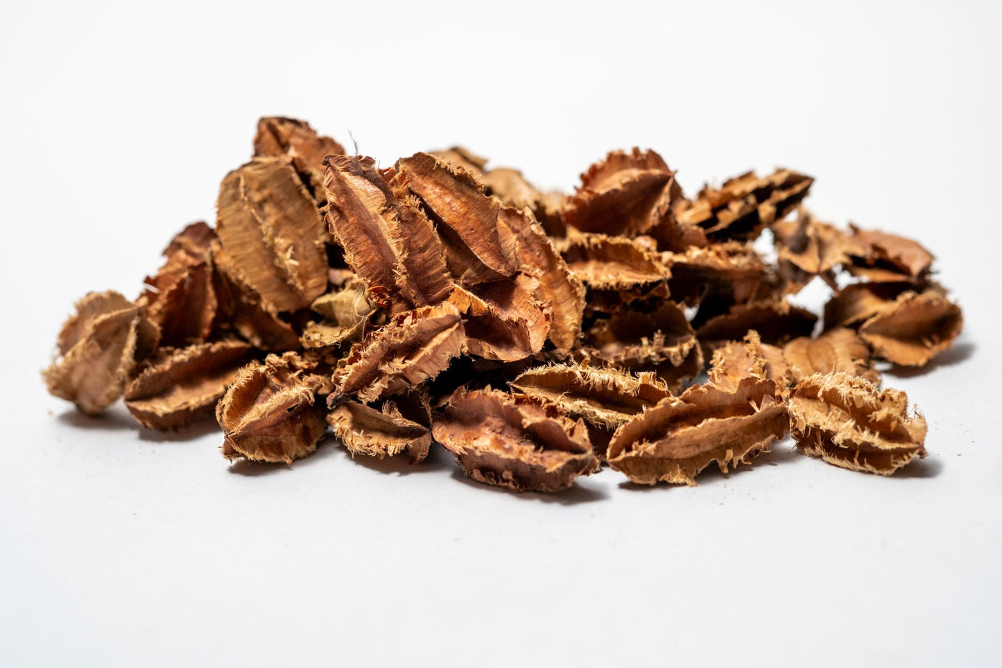 Pile of I Heart Bugs Arjuna Seed Pods on a white background and are used in potpourri making.