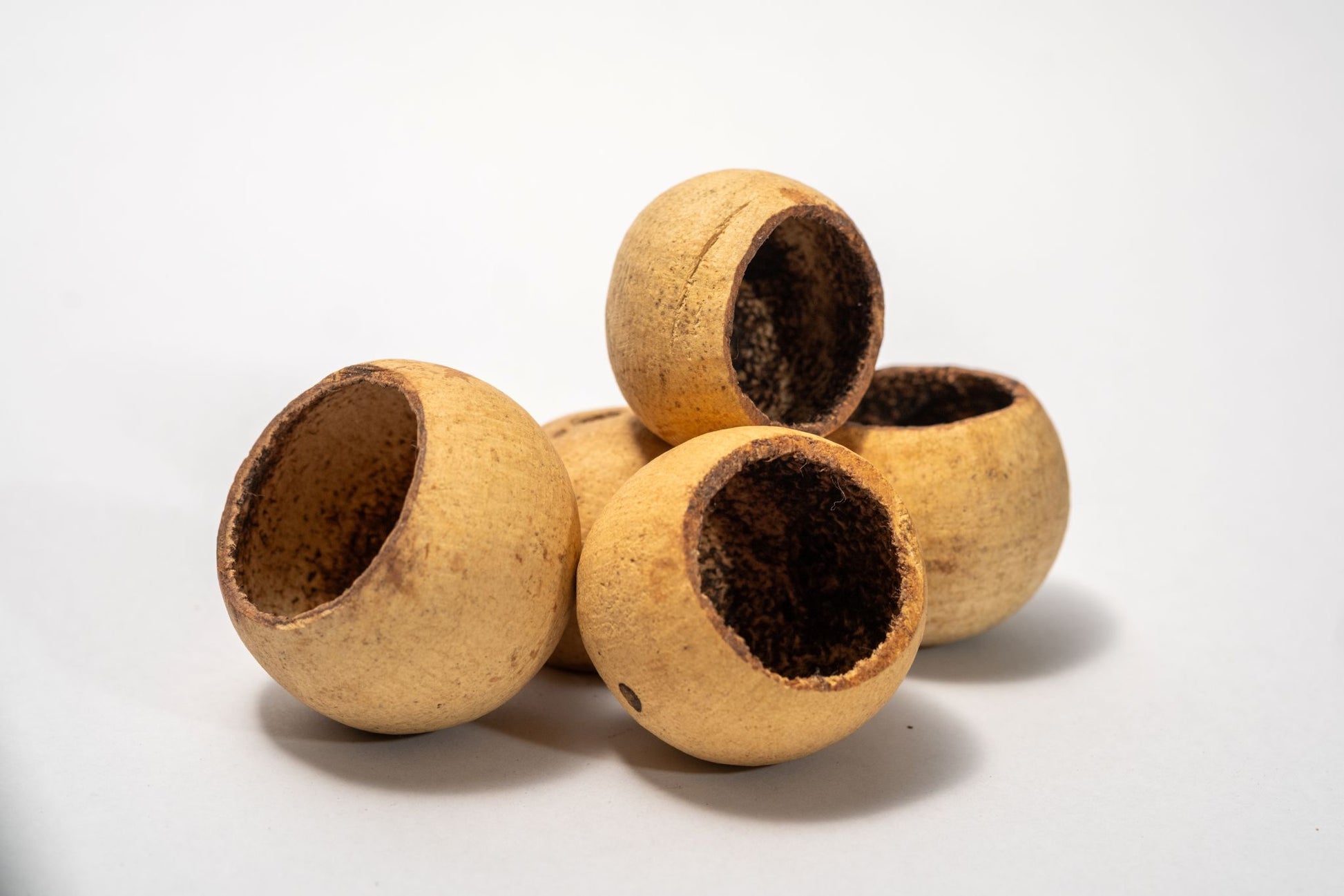 Five round hollow bell cup botanical seed pods with a beige exterior on a white background.