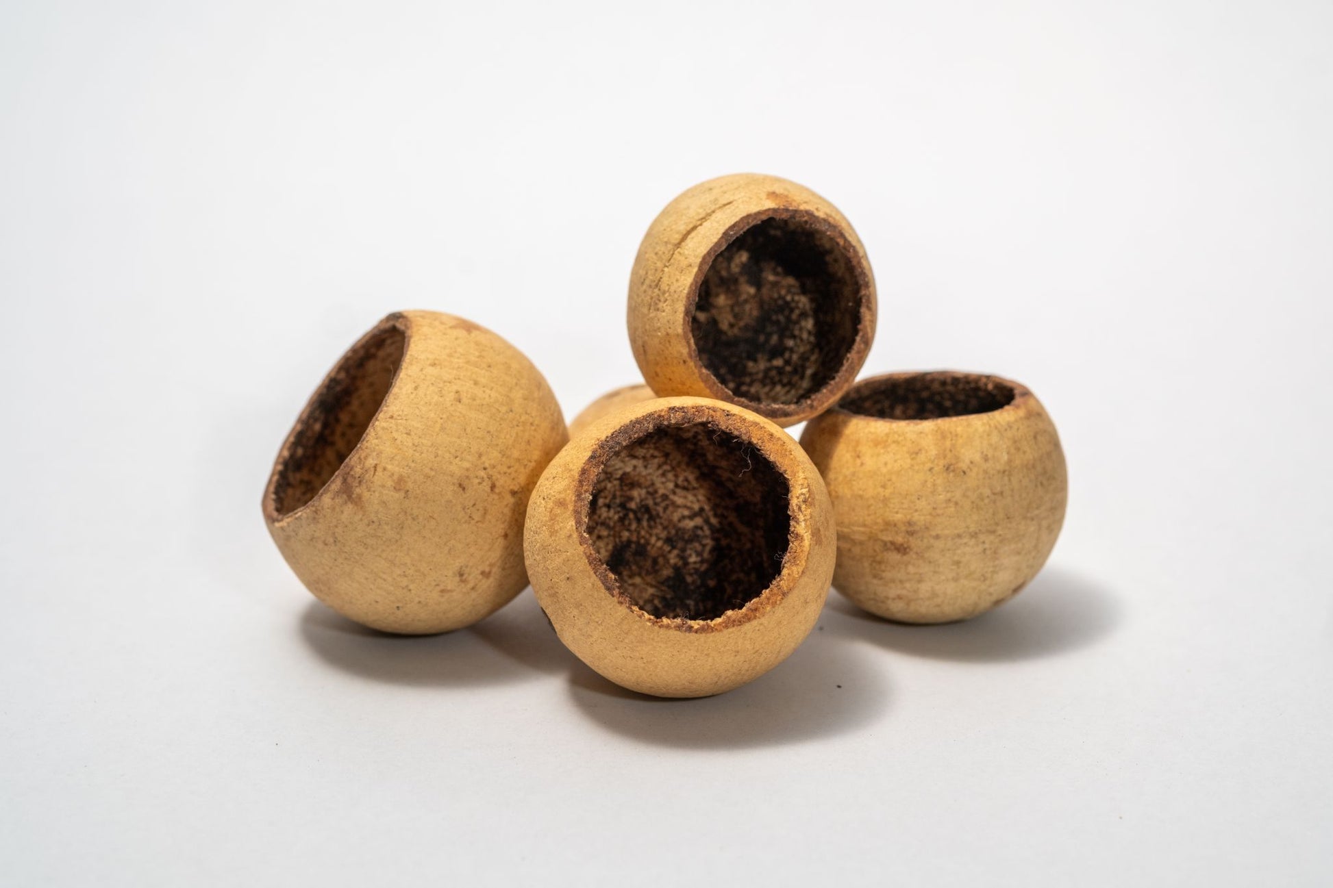 Five round hollow bell cup botanical seed pods with a beige exterior on a white background.