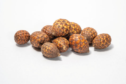 A close up of a pile of rattan cane fruit pods featuring rough, scaly surfaces with overlapping diamond-shaped segments, are isolated on a white background to showcase their detailed texture and natural patterns.