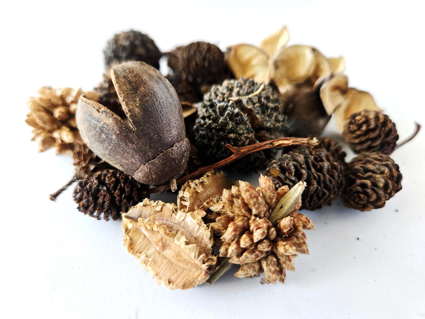 Mini/Nano Seed Pod Variety Pack - 37 Pieces