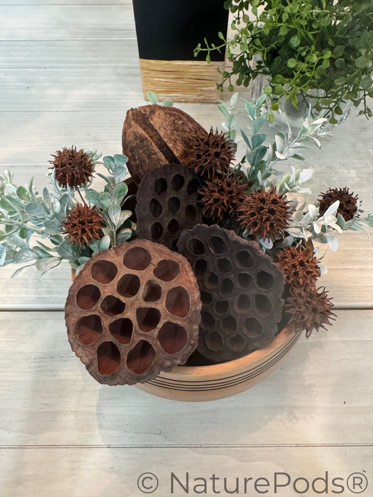 Bowl with lotus seeds and greenery on a wooden surface