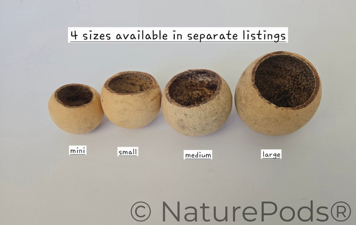 Mini Bell Cups (WHOLESALE)