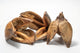 Textured dried sora seed pods with three woody petals on a white background.