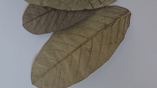 Dried Guava Leaves - 25 pack