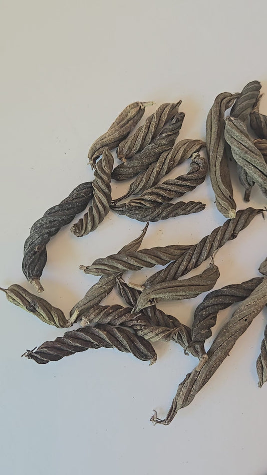 Twisty Pods/Fusilli Pods