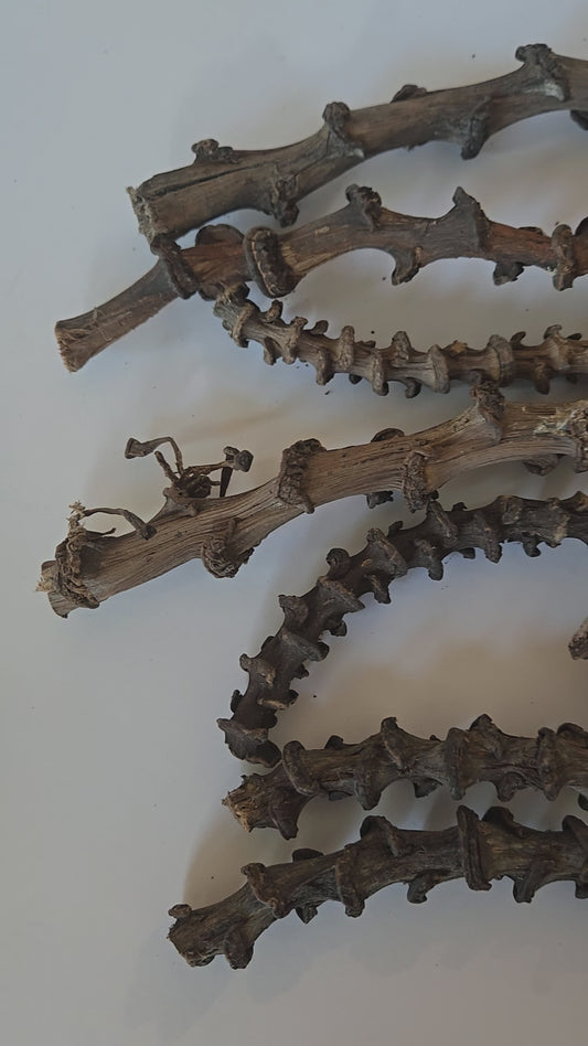 Dried Banana Stems
