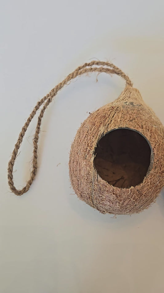 Hanging Coconut Shell Hideout