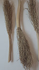 Date Palm Stalk