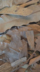 Tropical Leaf Litter Mix - 1 Pound
