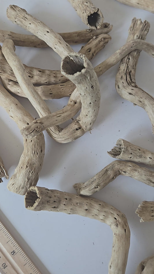 Dried Cabbage Roots