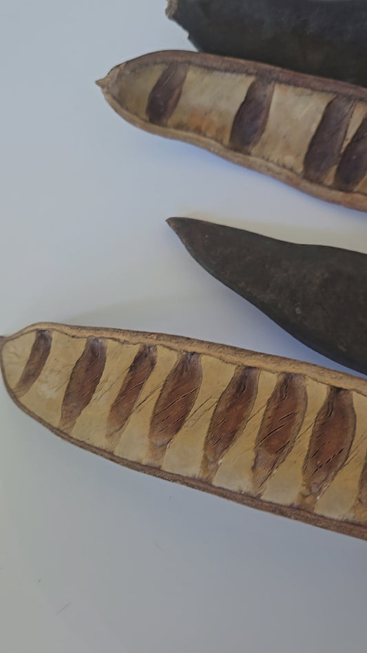 Step Fruit Botanical