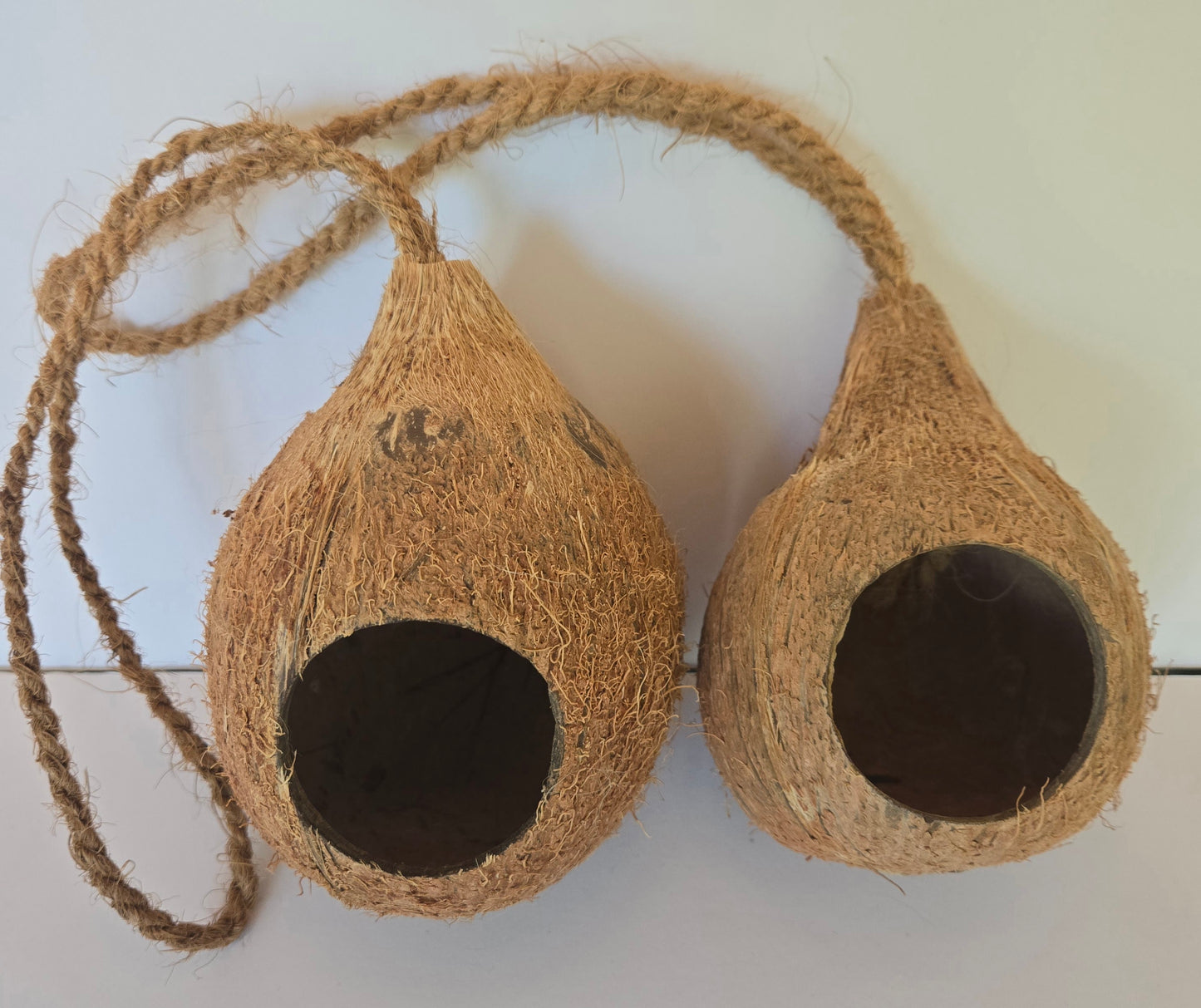 Hanging Coconut Shell Hideout