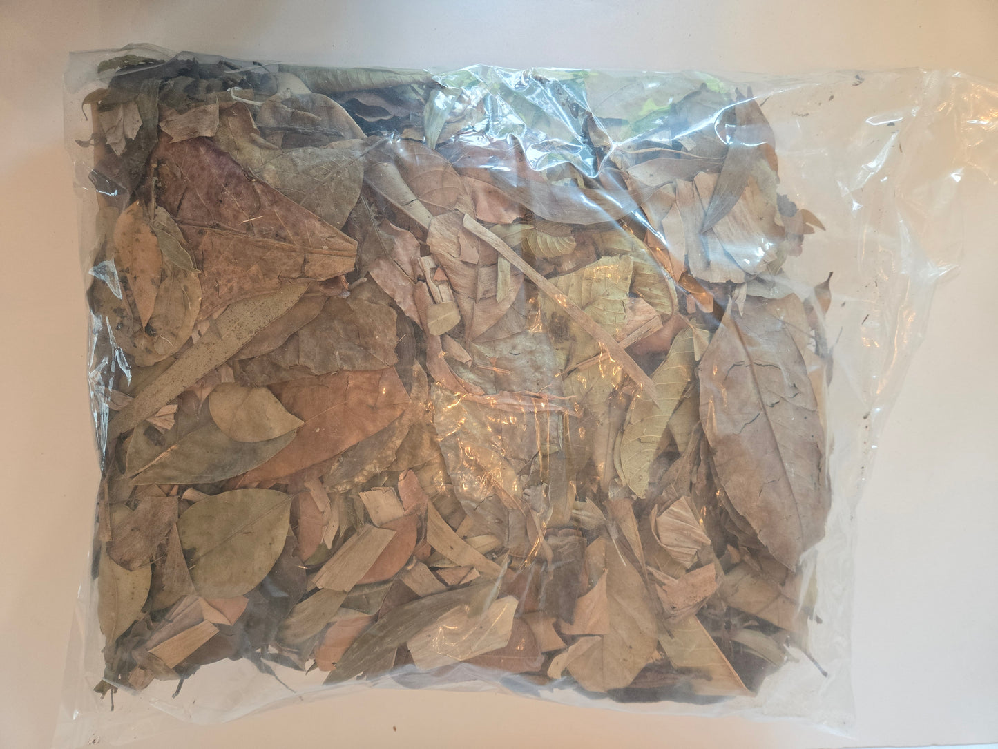 Tropical Leaf Litter Mix - 1 Pound