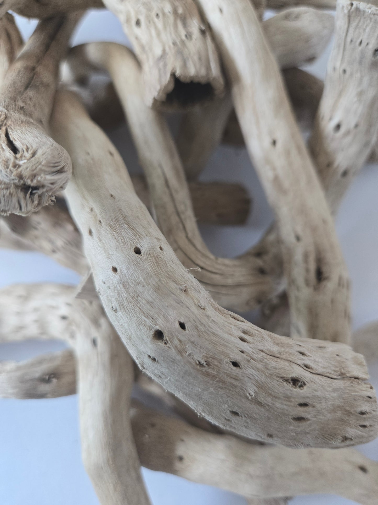 Dried Cabbage Roots