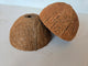 Coconut Shell Half