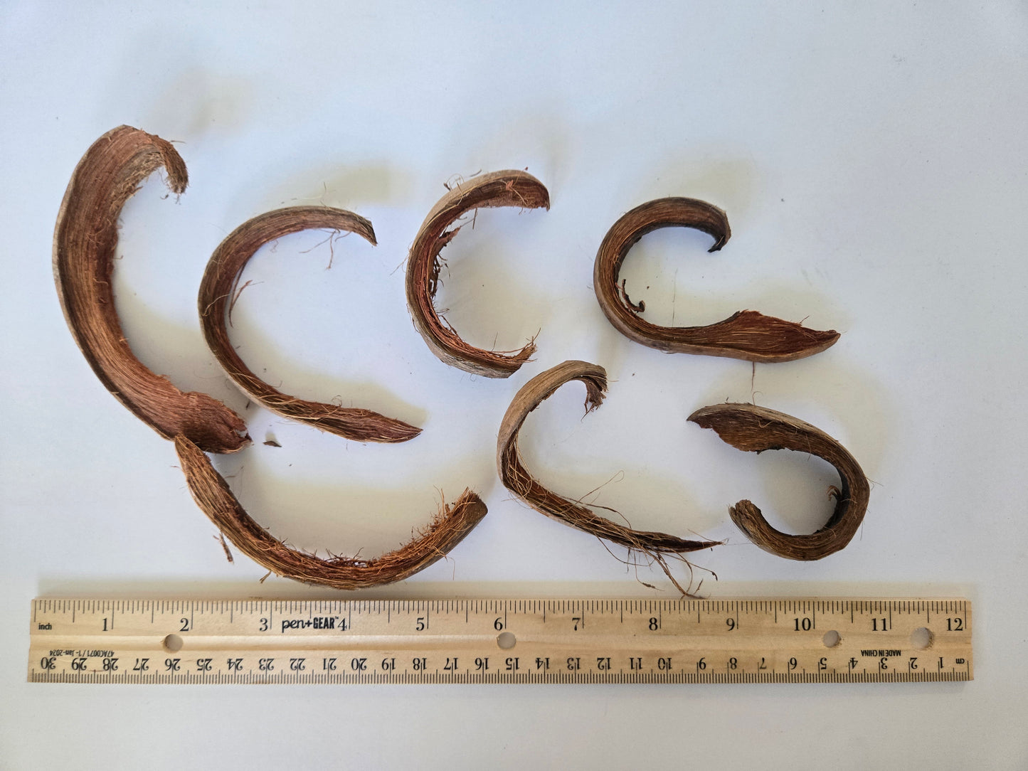 Coco Curls (WHOLESALE)