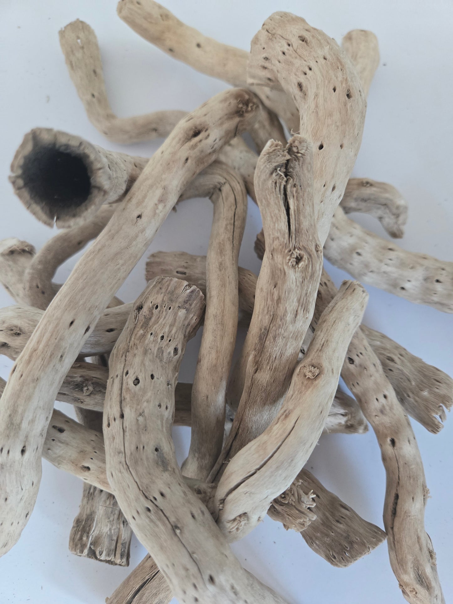 Dried Cabbage Roots