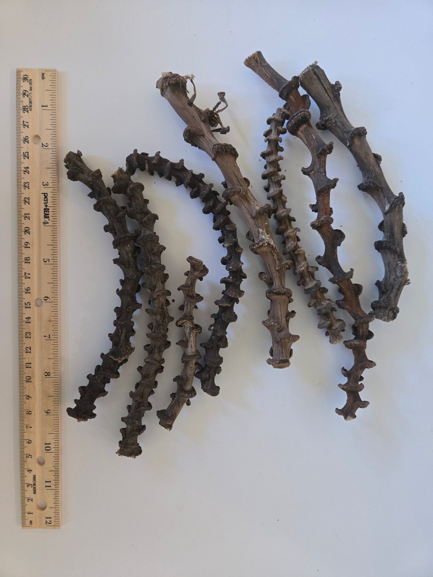 Dried Banana Stems