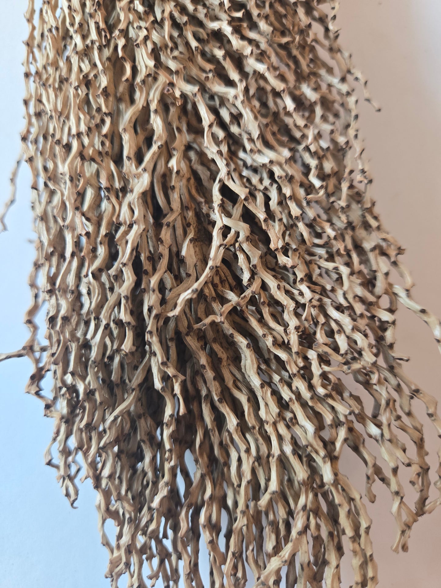 Date Palm Stalk