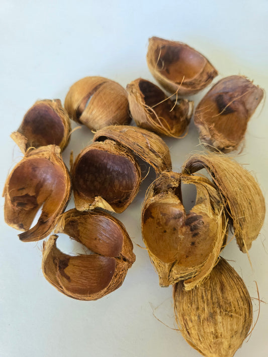 Betel Nut Husks