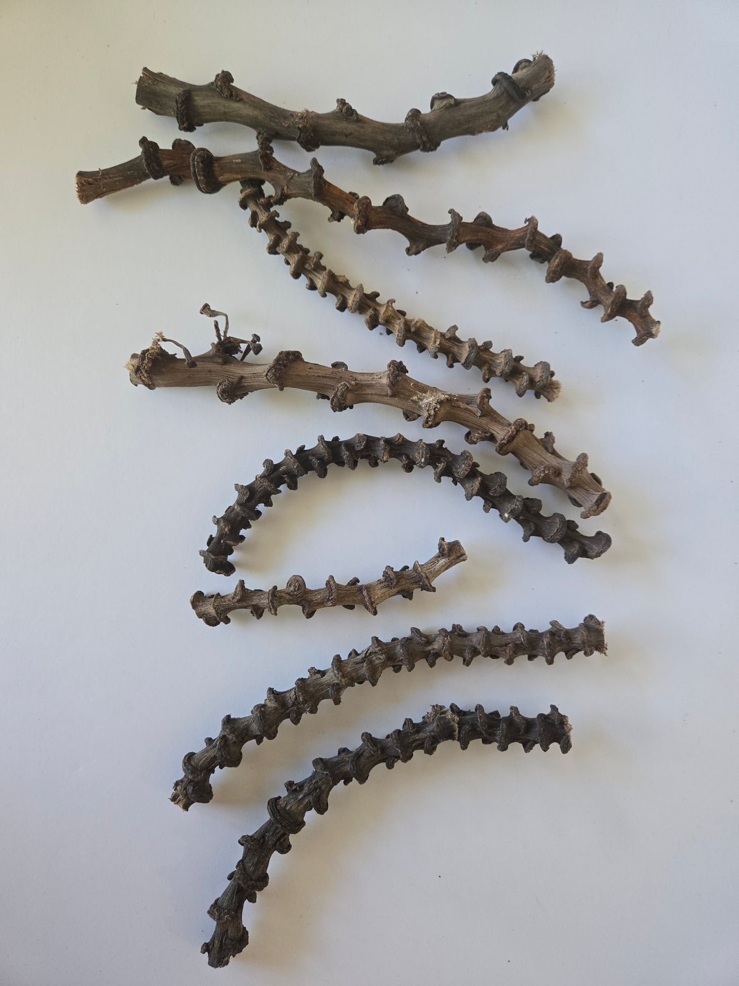 Dried Banana Stems