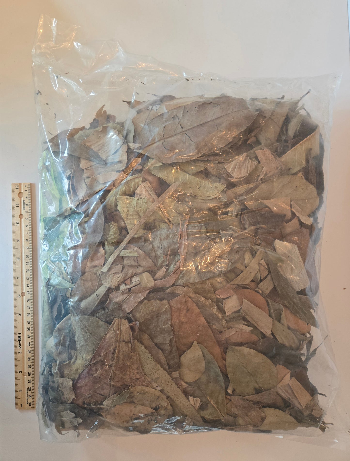 Tropical Leaf Litter Mix - 1 Pound