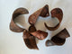 Elephant Ear Seed Pods