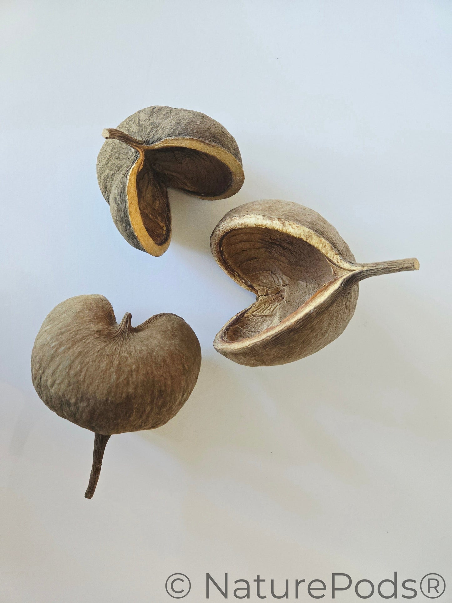 Buddha Nuts