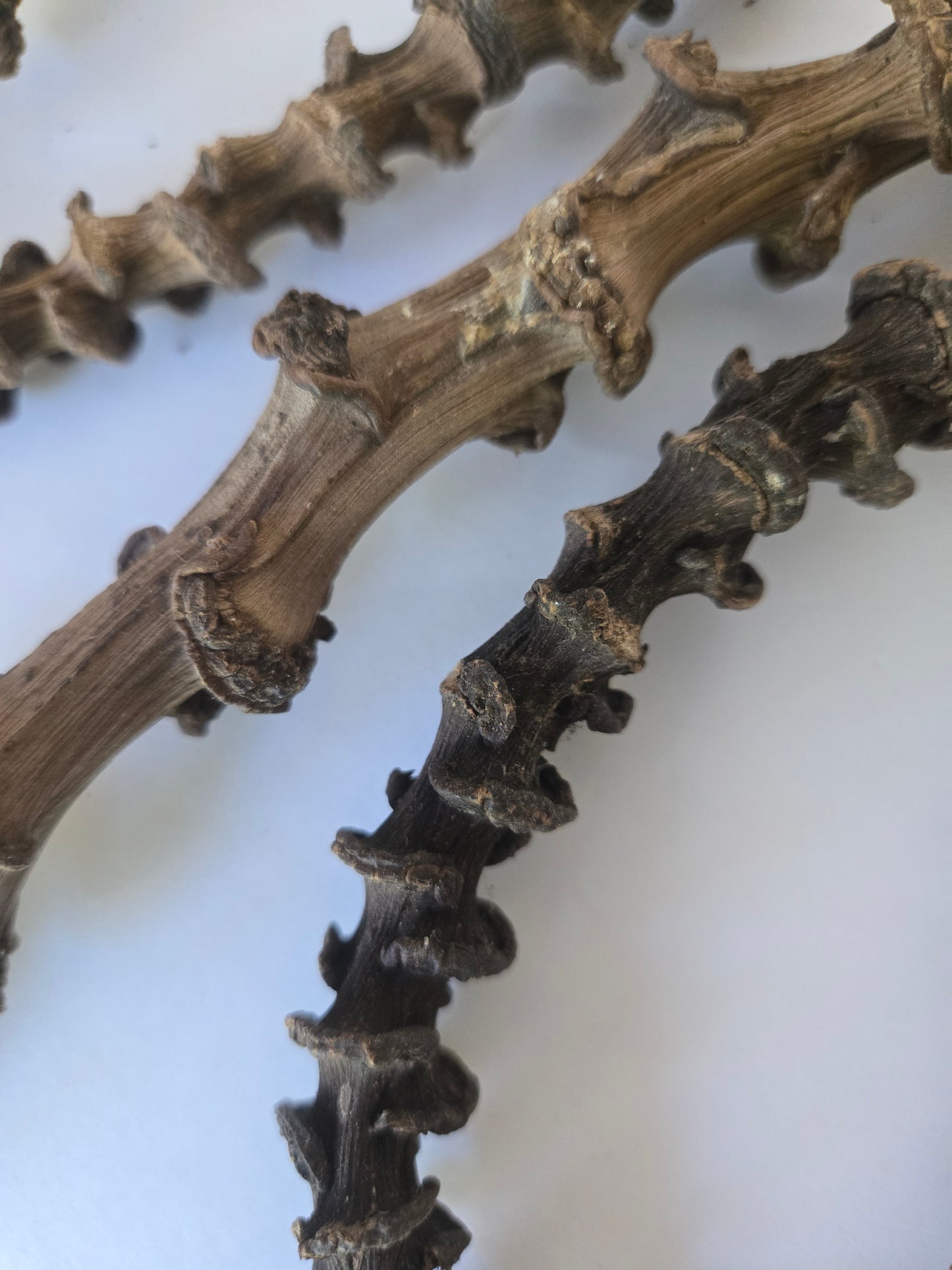 Dried Banana Stems