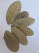Dried Guava Leaves - 25 pack