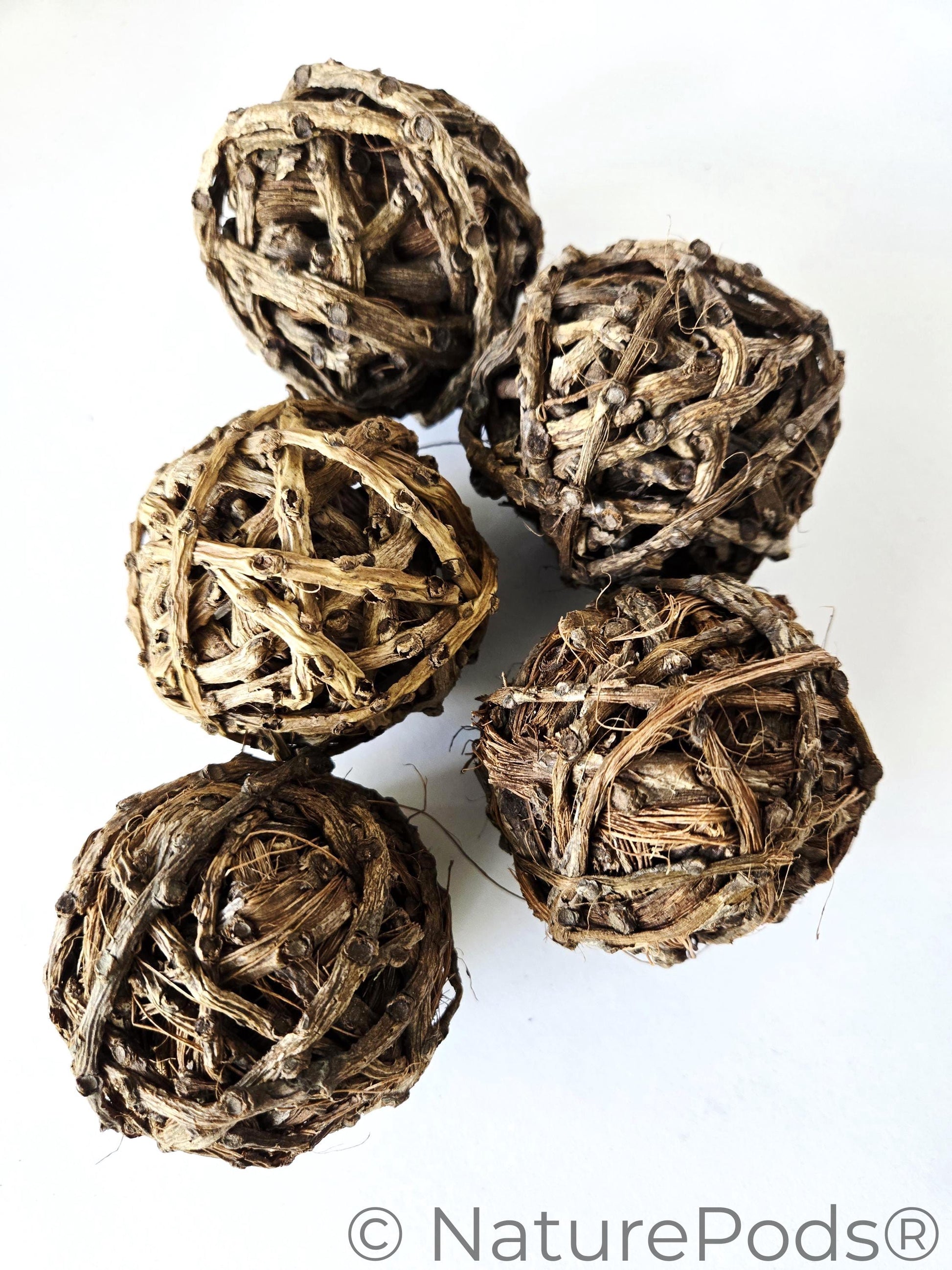 Close up of Five brown vine balls on a white background.  Used for harvesting springtails and as home decor in a bowl.