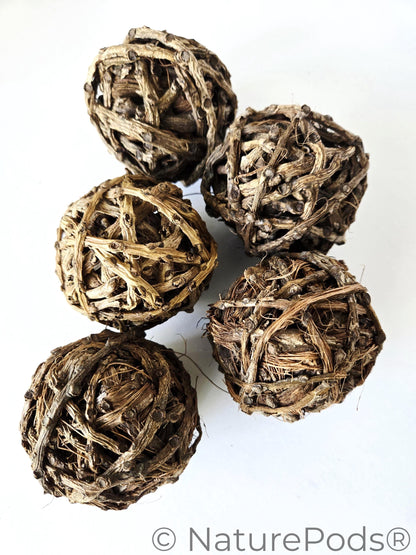 Close up of Five brown vine balls on a white background.  Used for harvesting springtails and as home decor in a bowl.